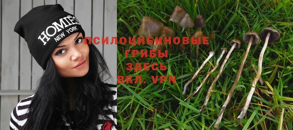 СК Армянск